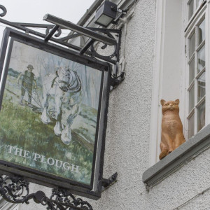The Plough - Cat Sculpture